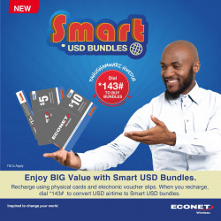Econet Smart USD Bundle...